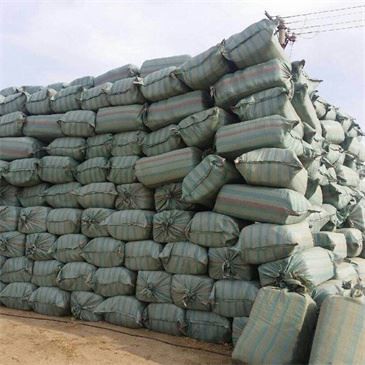 900 Kg/h Corn Silage Packing Machine