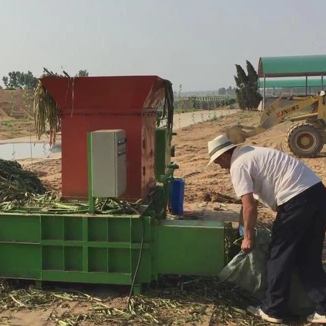 Silage baler (4)