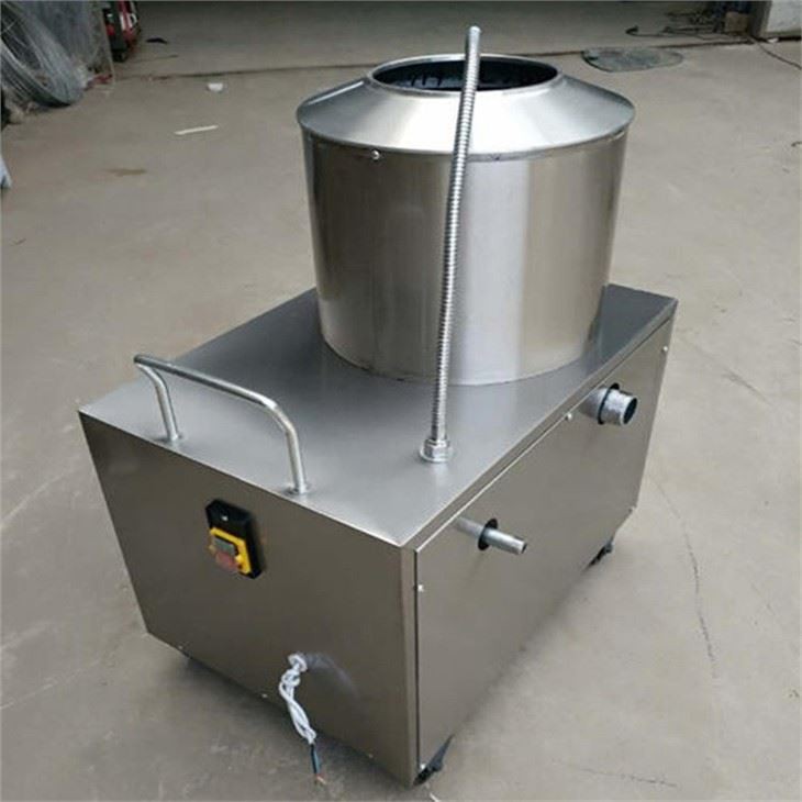 Potato Washing And Peeling Machine